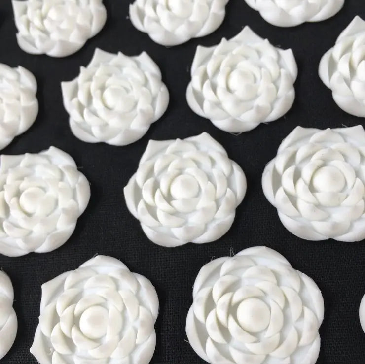 Glossie Renew Acupressure Duo