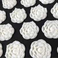 Glossie Renew Acupressure Duo