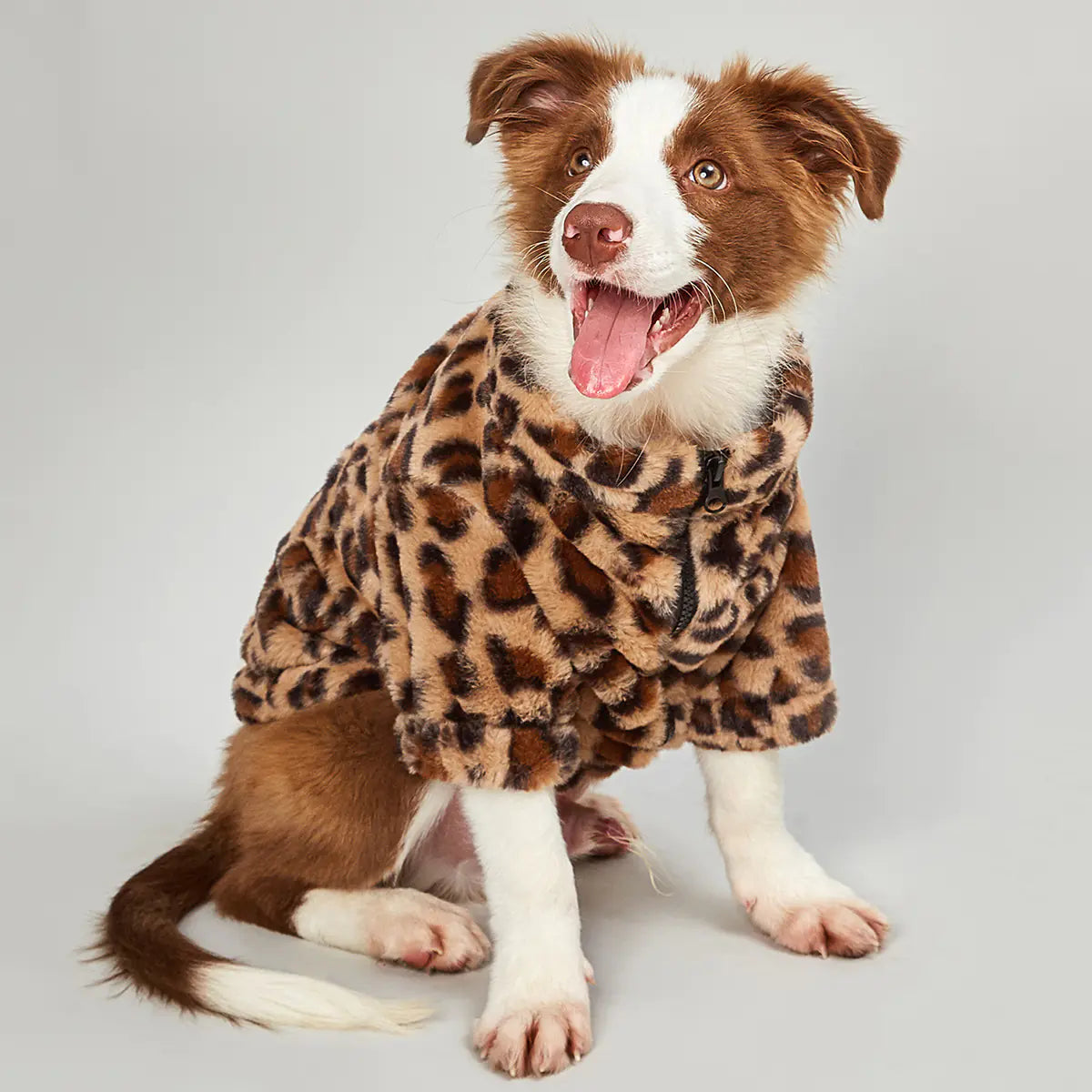 Pretty Paws Leopard Coat